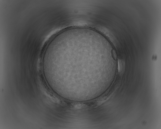 X0000093250579200710171428