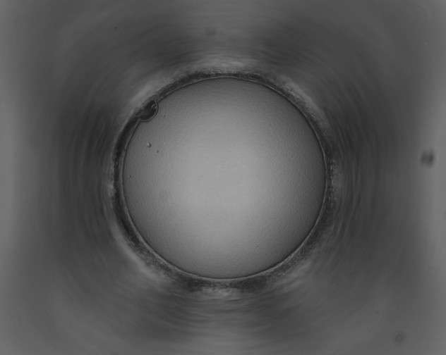 X0000093250582200710171428