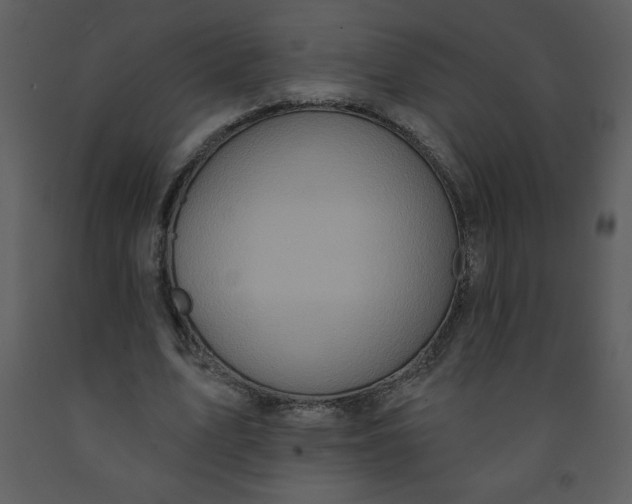 X0000093250583200710171427