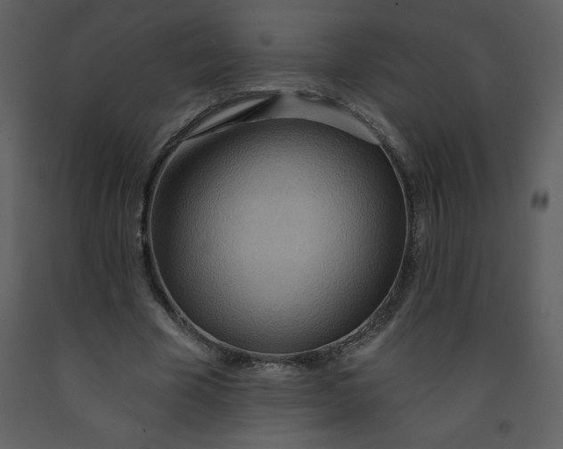 X0000093250585200710171427