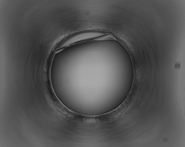 X0000093250587200710171427