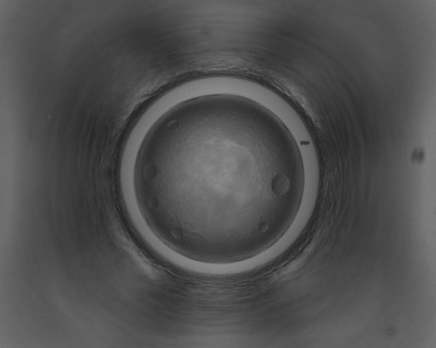 X0000093250589200710171427