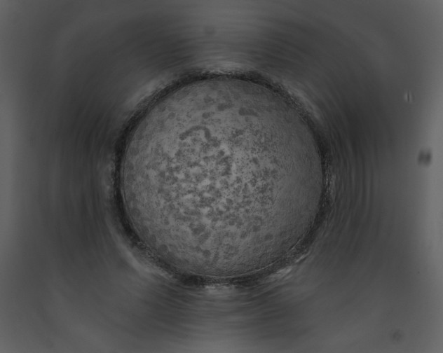 X0000093250591200710171427