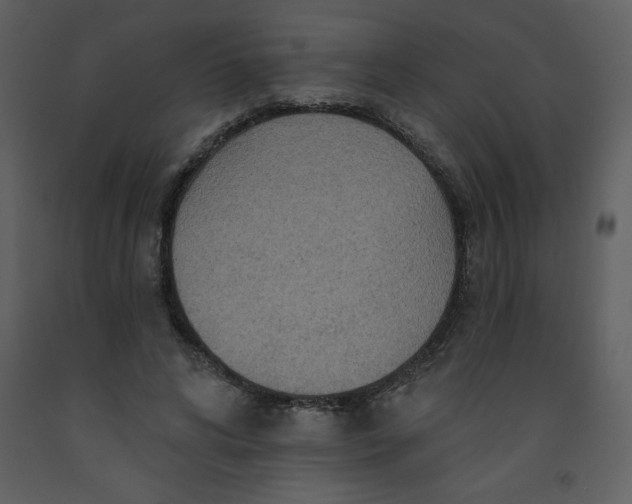 X0000093250592200710171427