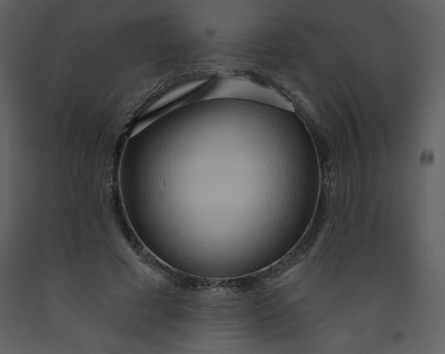 X0000093250593200710171427