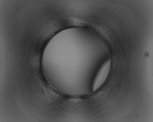 X0000093250595200710171427