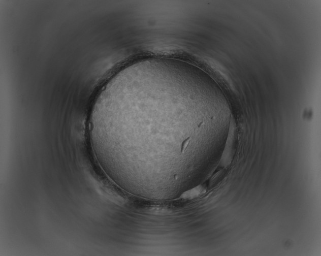 X0000093250596200710171427