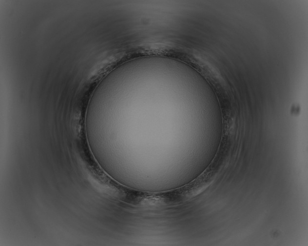 X0000093250599200710171427