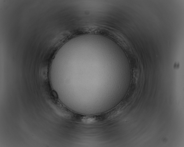 X0000093250602200710171427