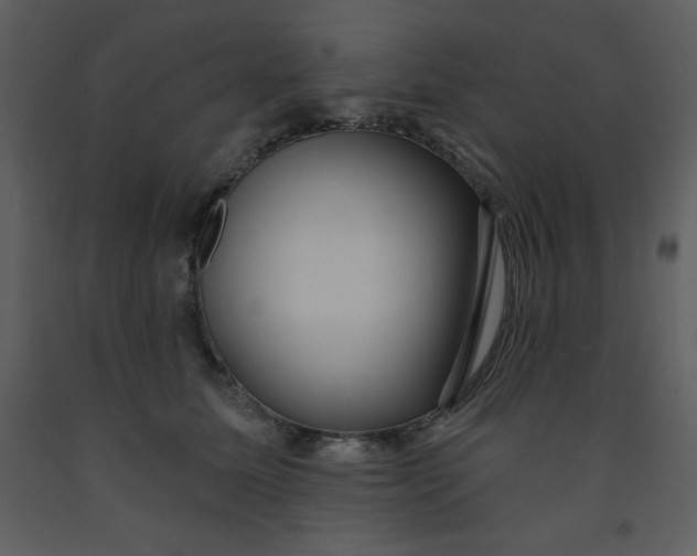 X0000093250611200710171427