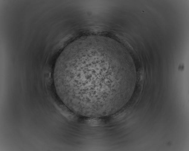 X0000093250615200710171427