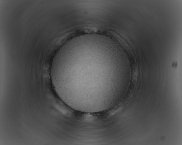 X0000093250616200710171427