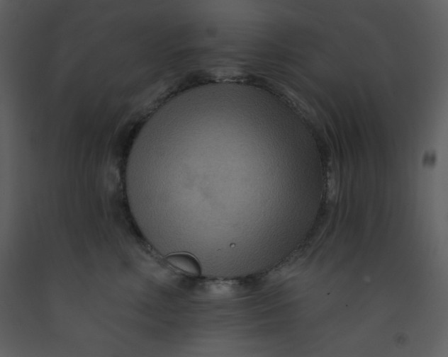 X0000093250618200710171427