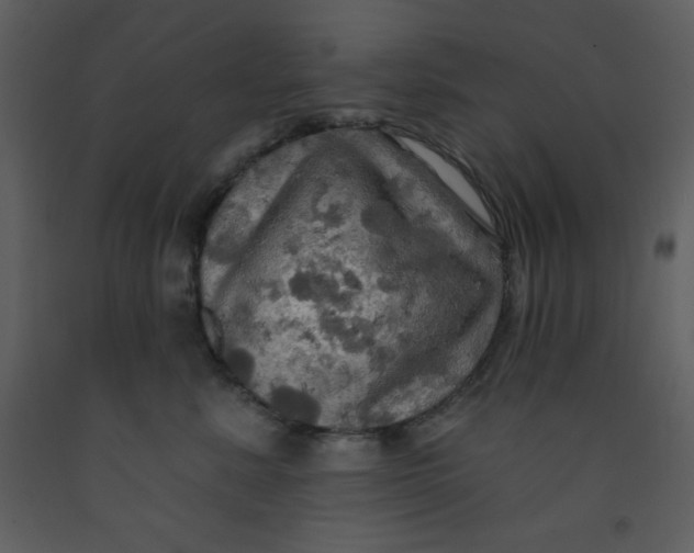 X0000093250619200710171427