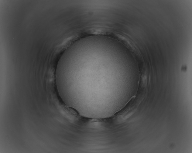 X0000093250620200710171427