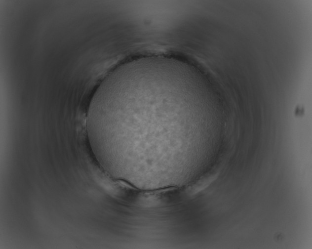 X0000093250624200710171427