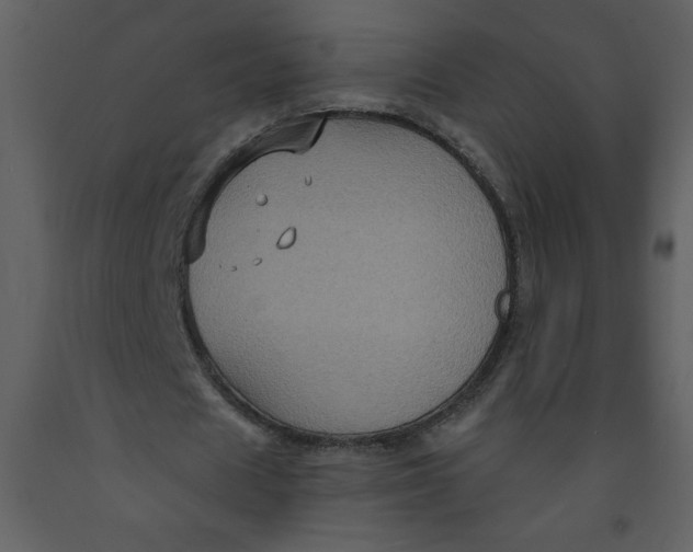 X0000093250625200710171426