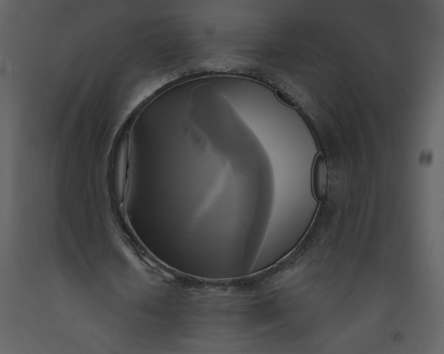 X0000093250626200710171426