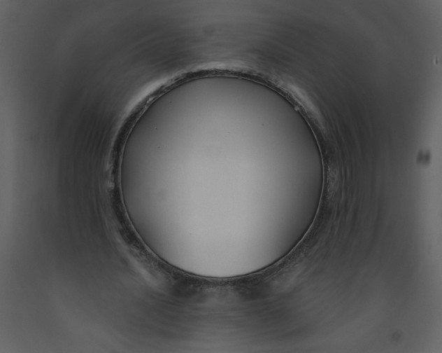 X0000093250628200710171426