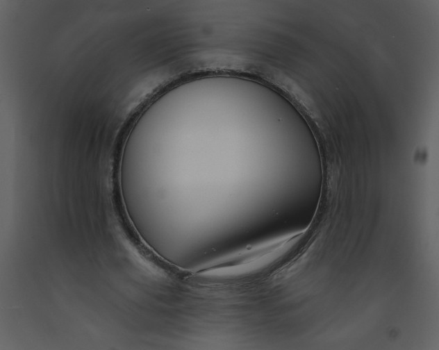 X0000093250629200710171426