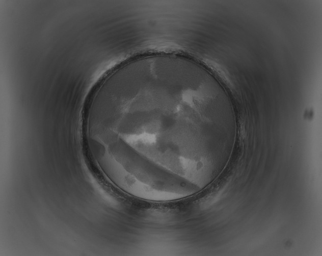 X0000093250630200710171426