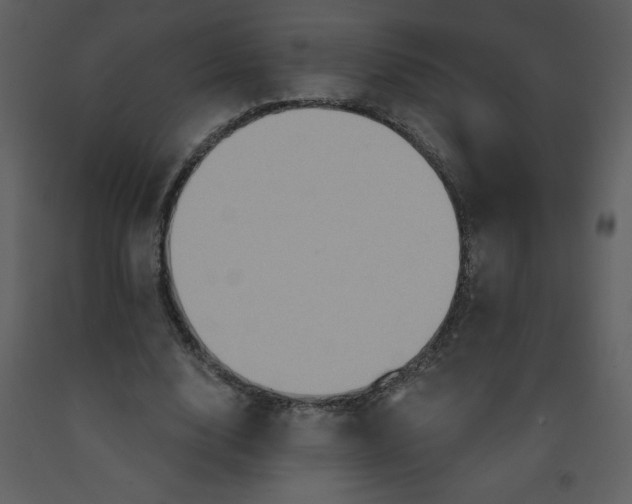 X0000093250632200710171426