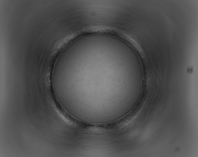 X0000093250633200710171426