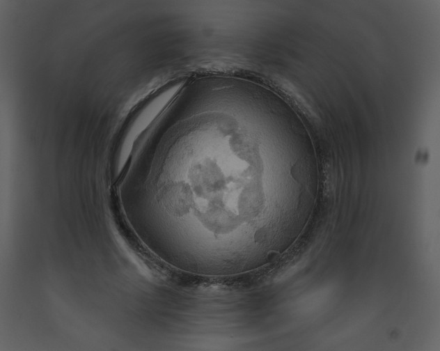 X0000093250634200710171426