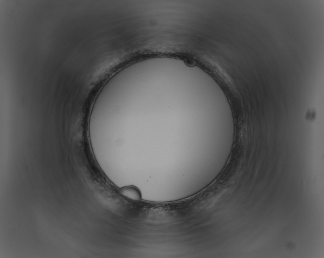 X0000093250635200710171426