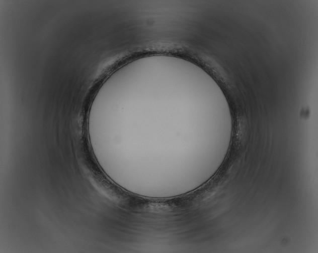 X0000093250636200710171426