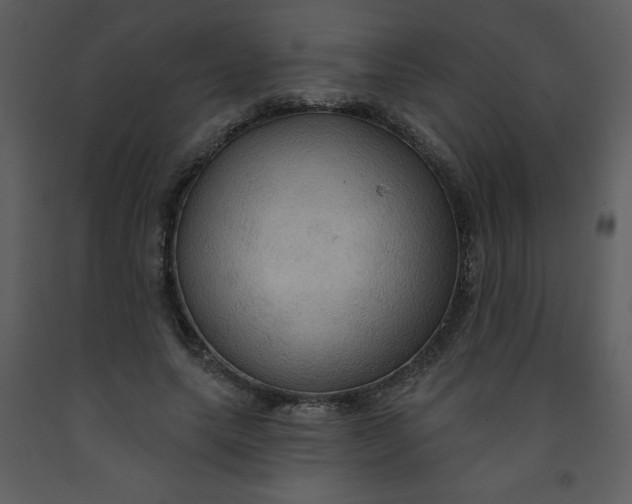 X0000093250639200710171426