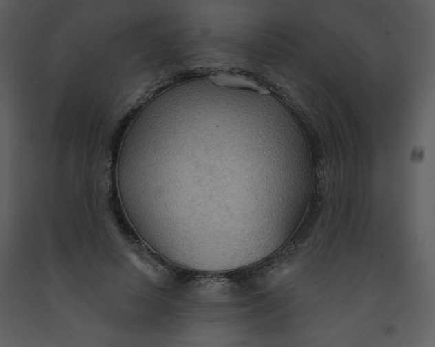 X0000093250642200710171426