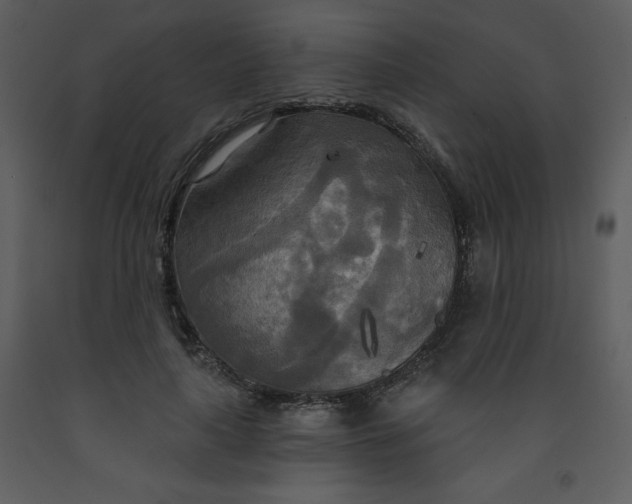 X0000093250643200710171426