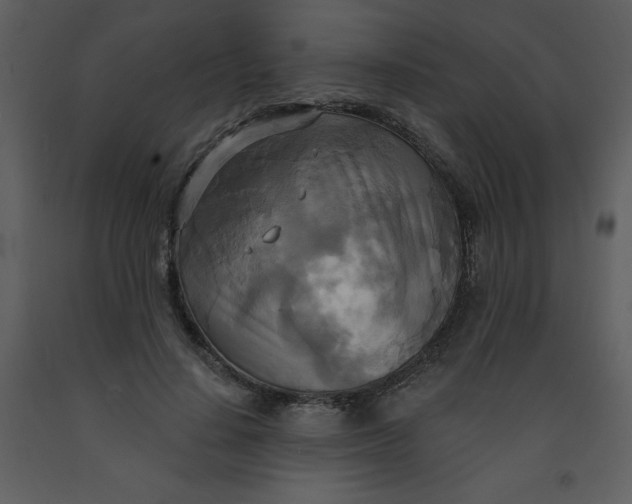 X0000093250644200710171426