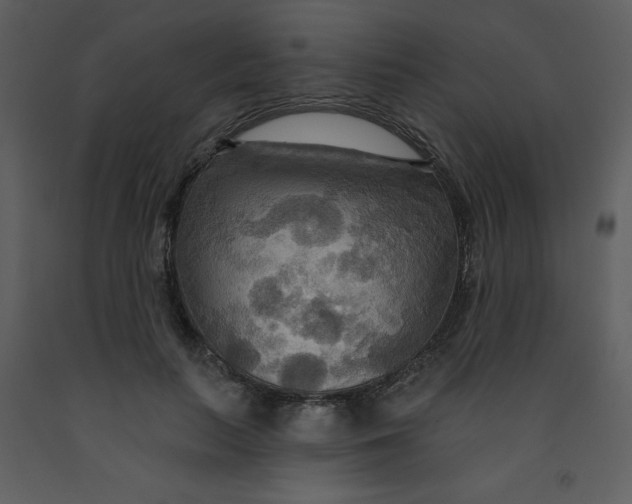 X0000093250647200710171427