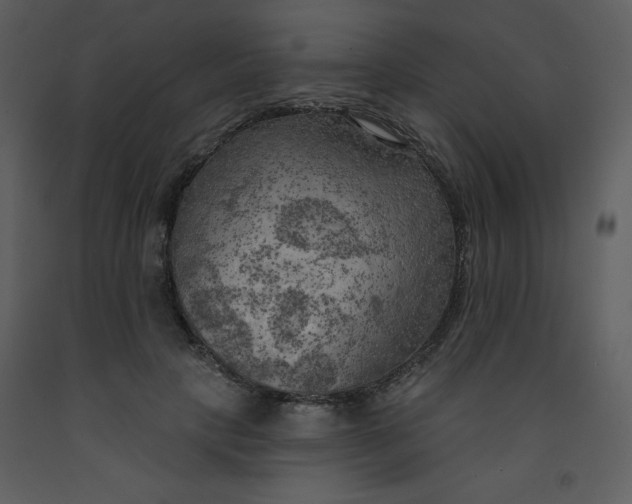 X0000093250649200710171427