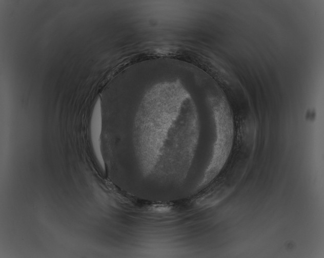 X0000093250651200710171427