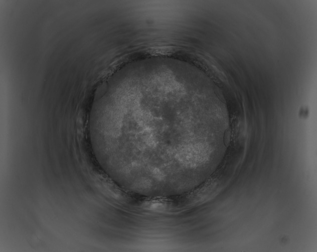 X0000093250655200710171427