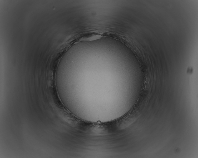 X0000093250656200710171427