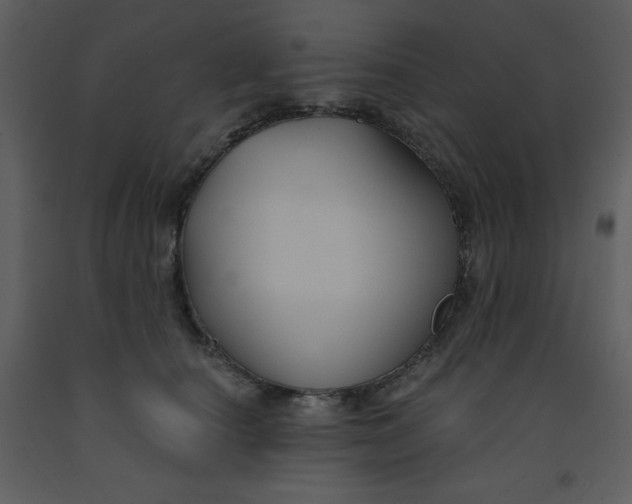 X0000093250660200710171427