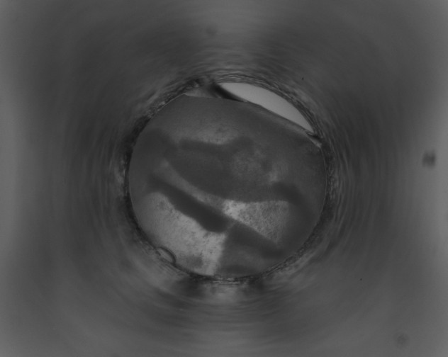 X0000093250661200710171427