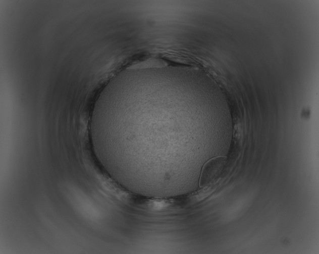 X0000093250662200710171427