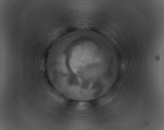 X0000093250663200710171427