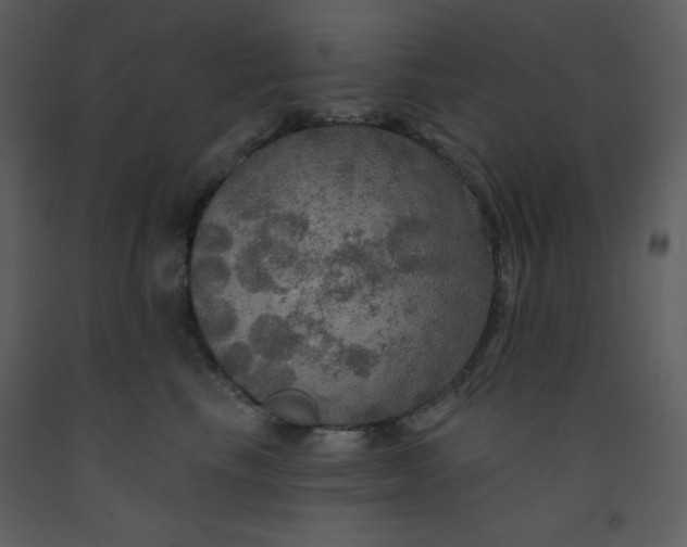 X0000093250665200710171427