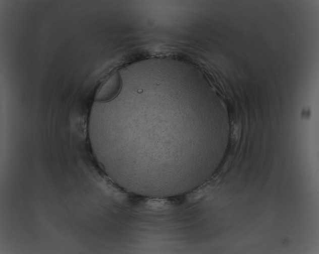 X0000093250666200710171427