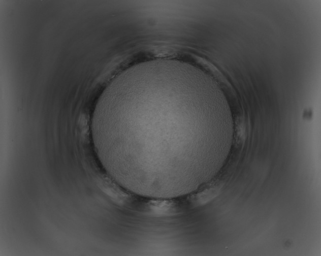 X0000093250667200710171427