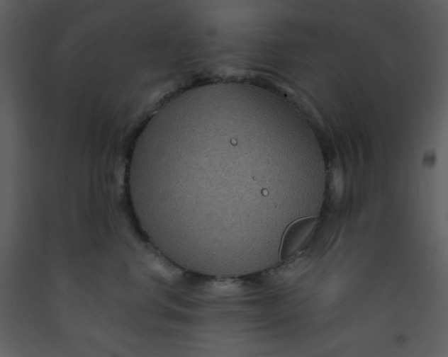 X0000093250668200710171427