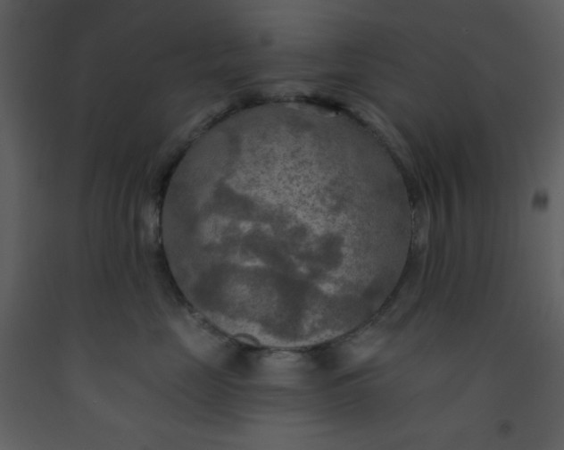 X0000093250669200710171427