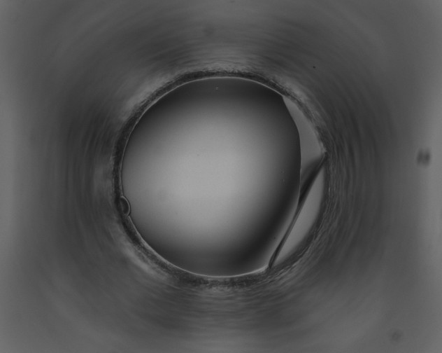 X0000093250677200710171426