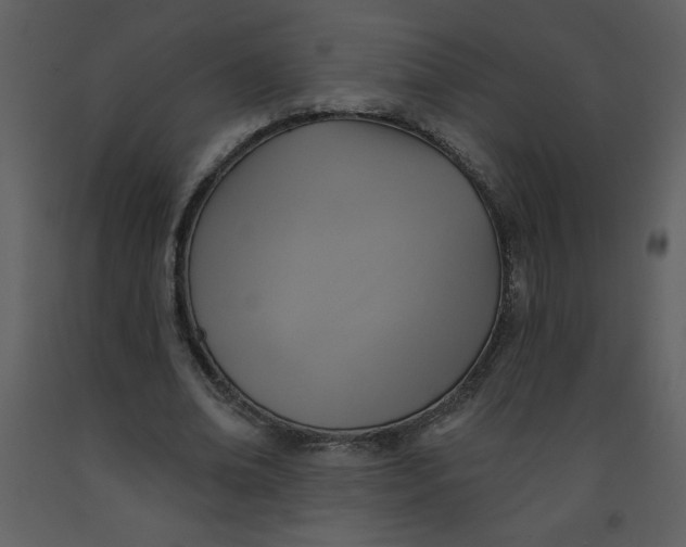 X0000093250678200710171426